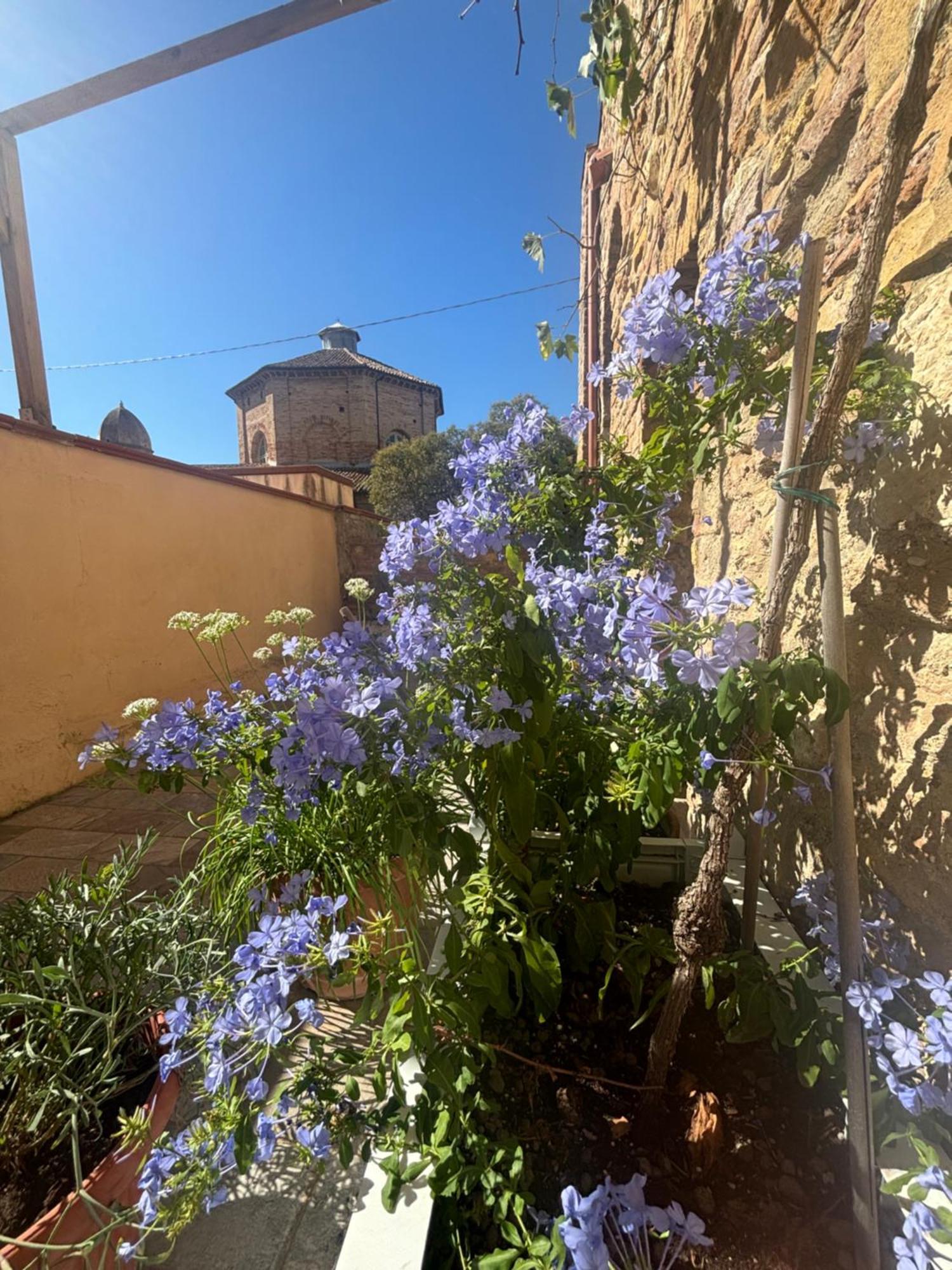 Domus Mirabilis Homestay Ancona Buitenkant foto